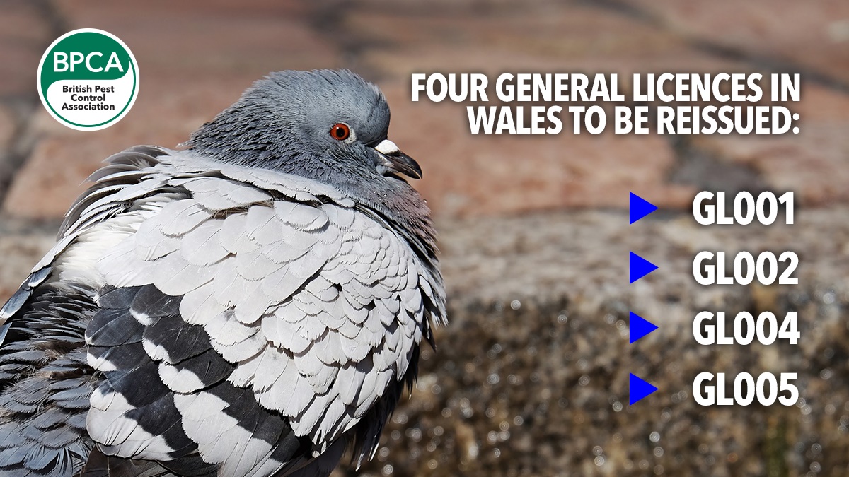 nrw-reissue-four-general-liences